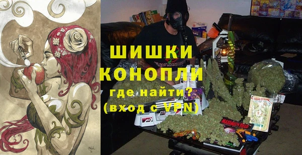 сатива Аша