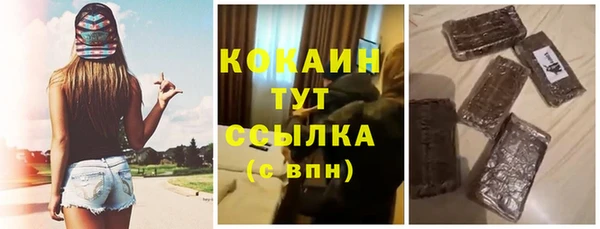 сатива Ахтубинск