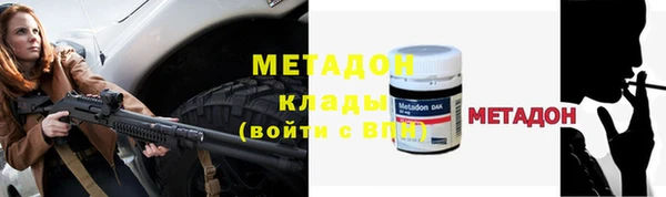 сатива Аша