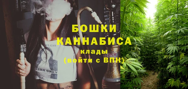 сатива Аша