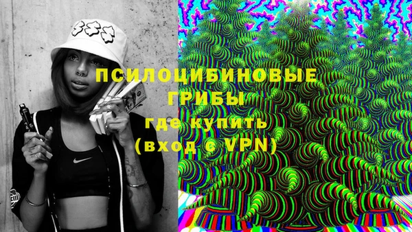 сатива Ахтубинск