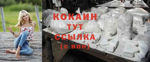 PSILOCYBIN Лиски