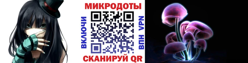 Купить где  Опочка  Псилоцибиновые грибы MAGIC MUSHROOMS 